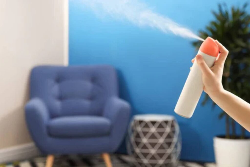 The Power of Room Fresheners – How Cleanzy Transforms Your Living Spaces